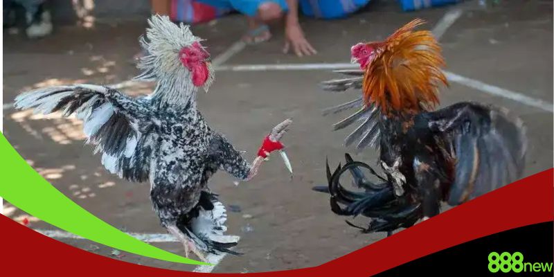 Các phương pháp quản lý vốn hiệu quả